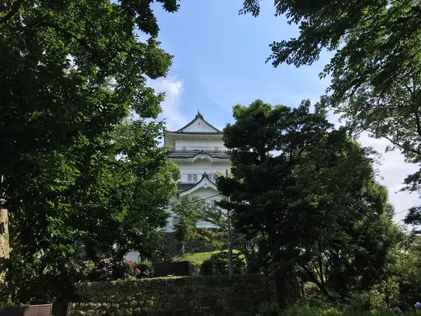 木々に囲まれた小田原城
