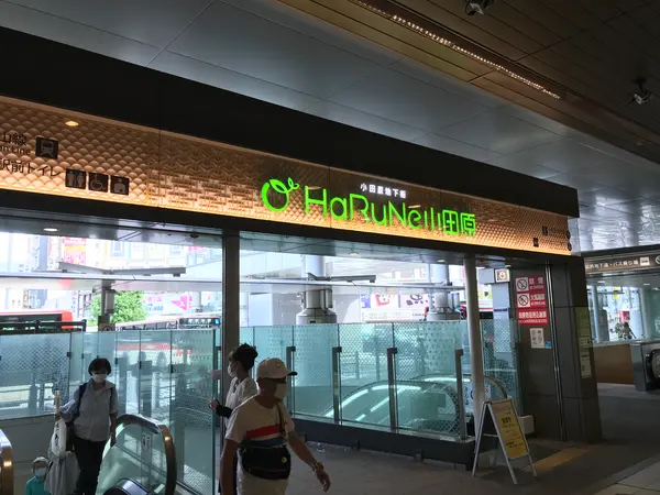 小田原駅からの導線です。