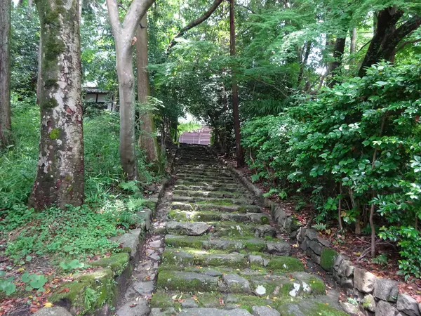 光秀もこの坂を上がった…？