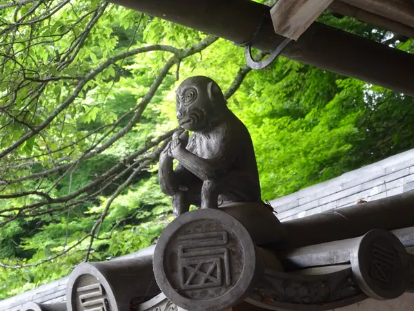 屋根の上にお猿さんが…！