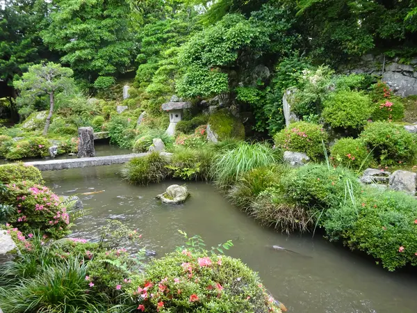 鶴と亀はどこにいる…？