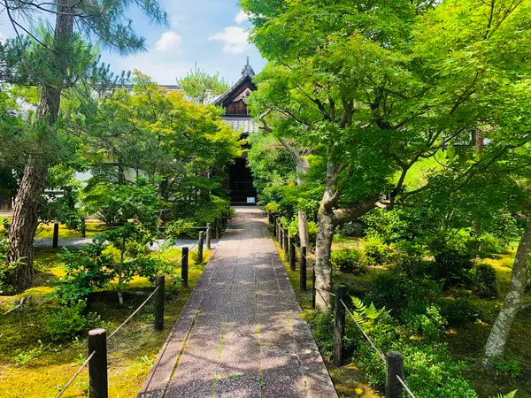 旧大方丈  を  阿弥陀堂側から。