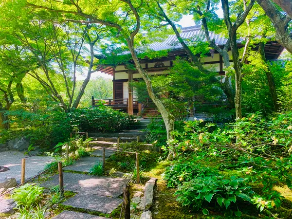 宝筐院の伽藍