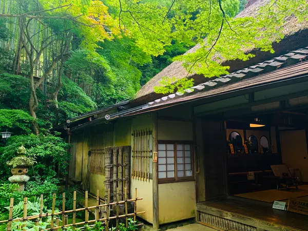 草庵
