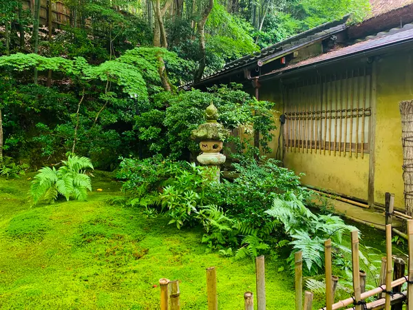 本堂前の苔さん