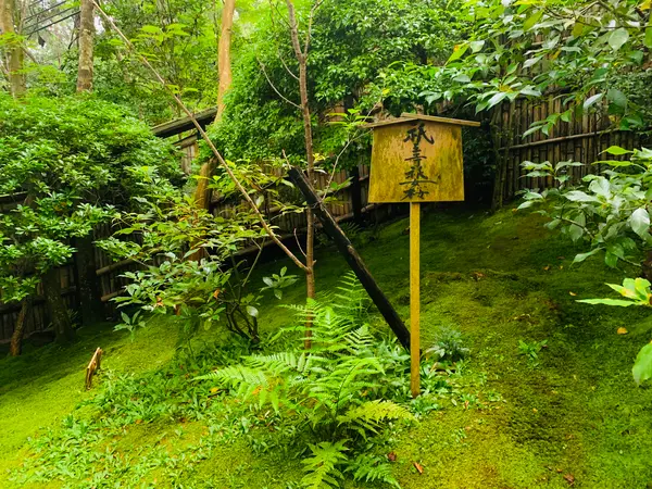 祇王寺祇女桜