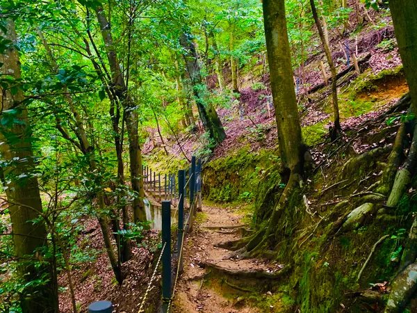 山道