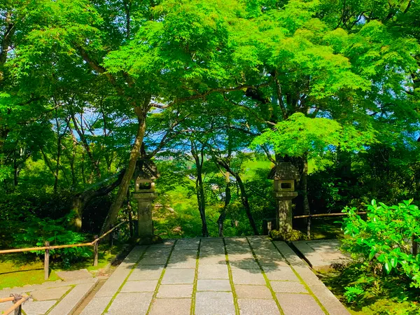 本堂から階段を眺める