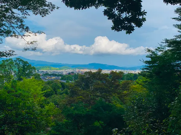 嵯峨の景色