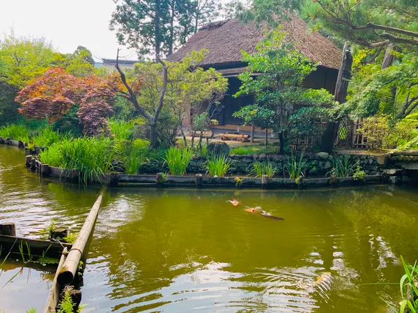 茶室“池中亭”