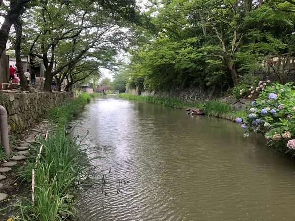 写真を撮りすぎてしまうスポット