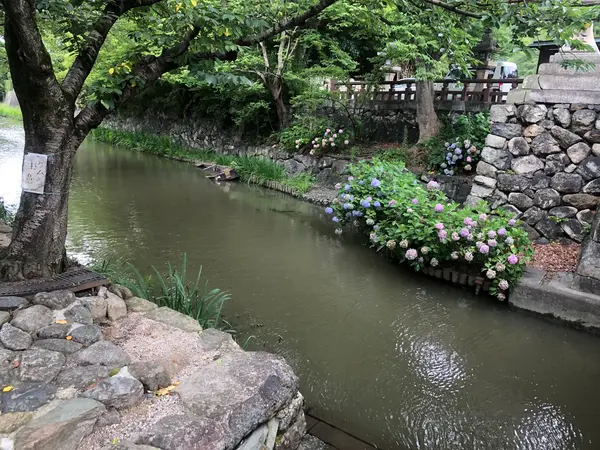 ここは橋の下