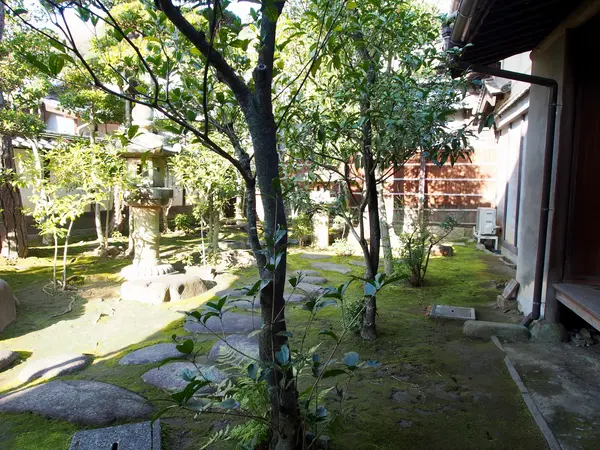 中庭