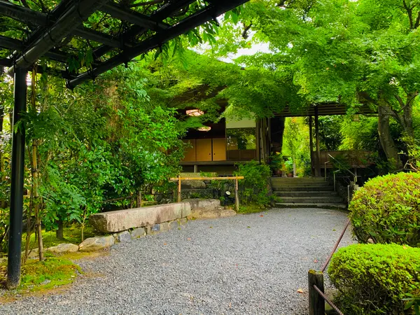 藤棚から大休庵を望む
