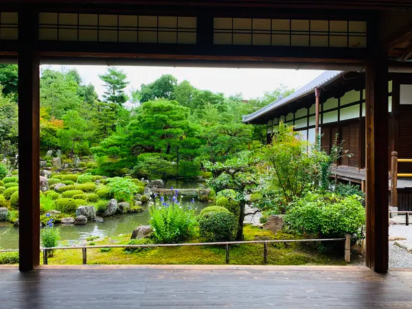 西の芙蓉池