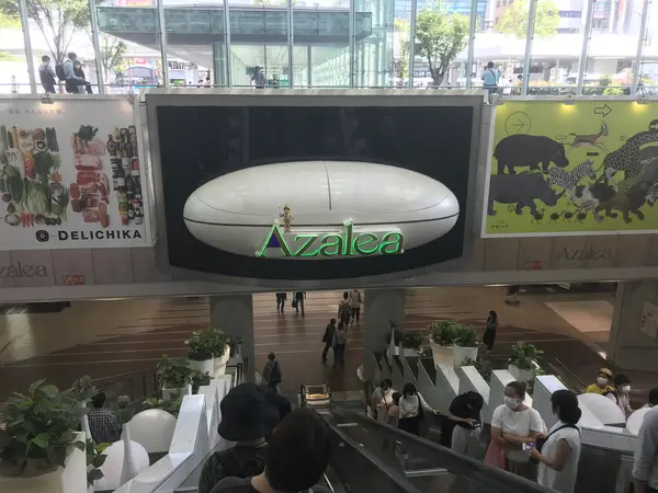 演奏が始まります。