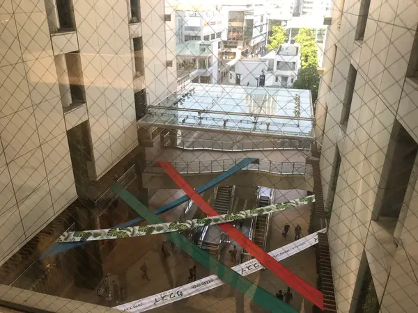上から見下ろすルフロン
