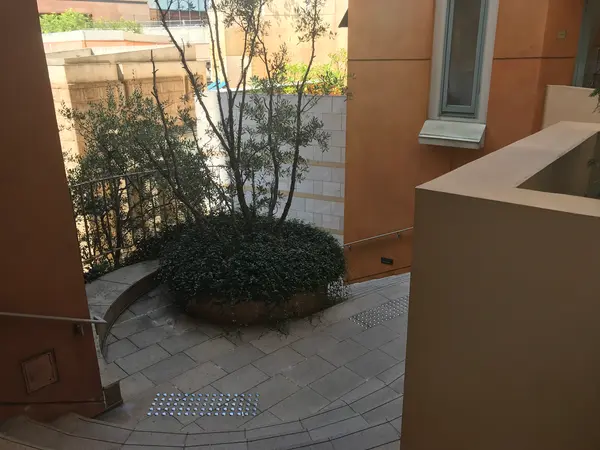 心折れそう・・・