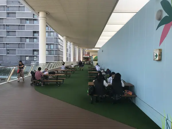 大屋根の下は「こんなん出ました〜w」