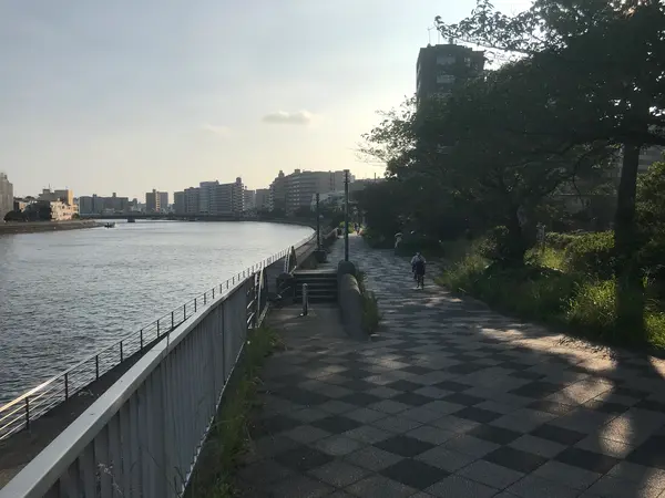 鶴見川の川っぺり