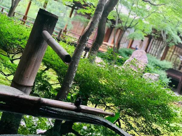 潮音庭  端