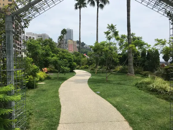 おっと、海岸来たら・・・