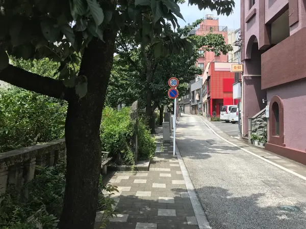 川は凄い事になっているので