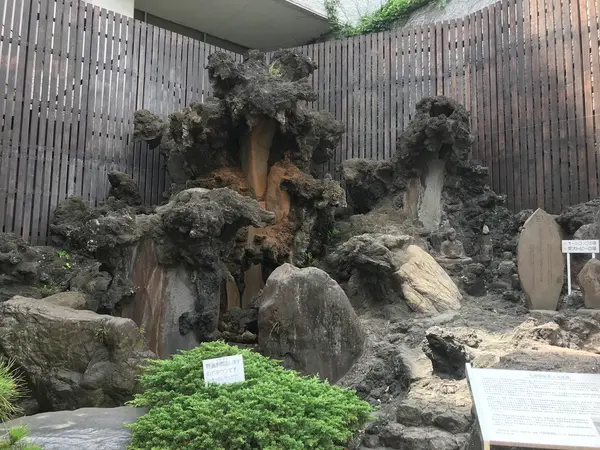 熱海七湯　大湯間欠泉