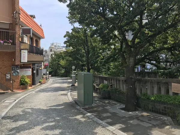 糸川沿い