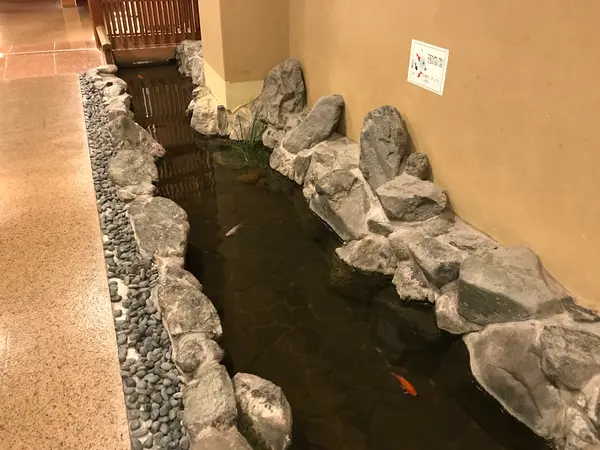 金魚撮影♪