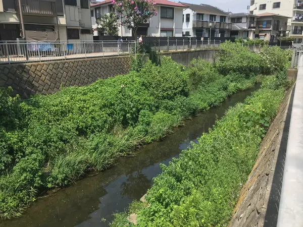 大岡川が流れます。