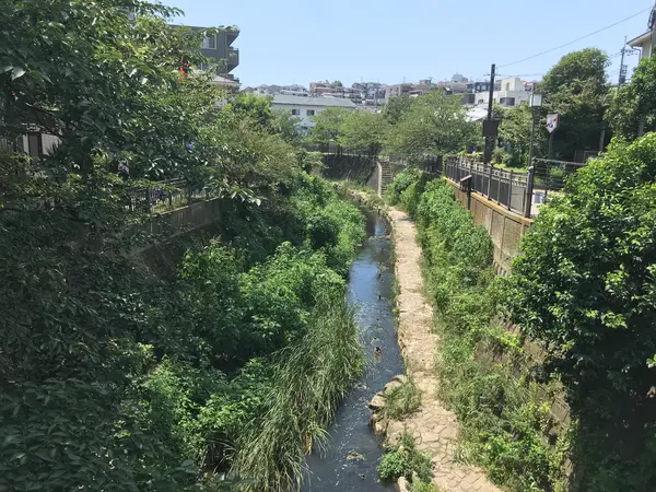 自然を残しているのは良きかな^_^