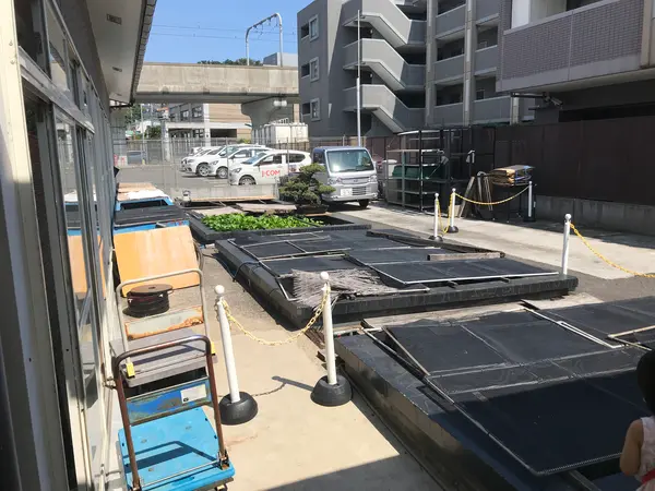 更に驚きの