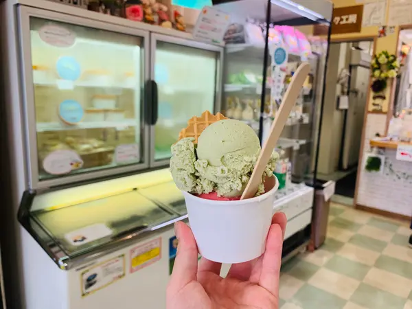 スポット内のおすすめ