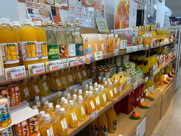 スポット内のおすすめ