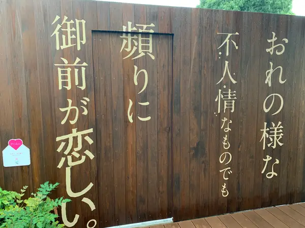 スポット内のおすすめ