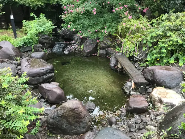 足湯と思われる何か？w