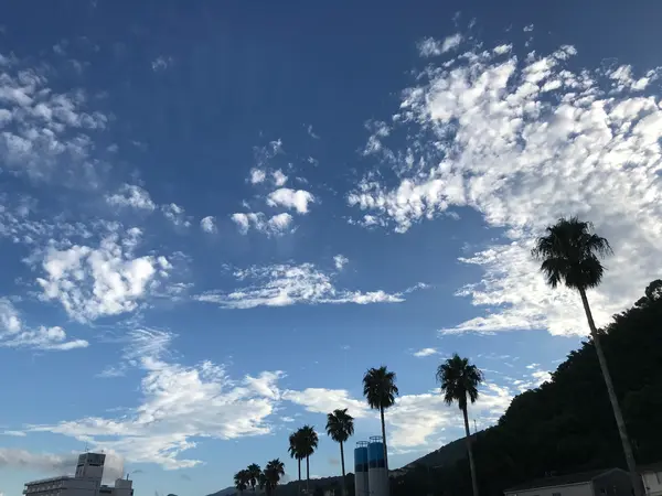 ちょっと切ないお別れ
