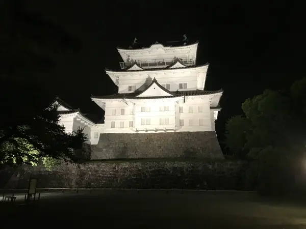 同じような画像がw