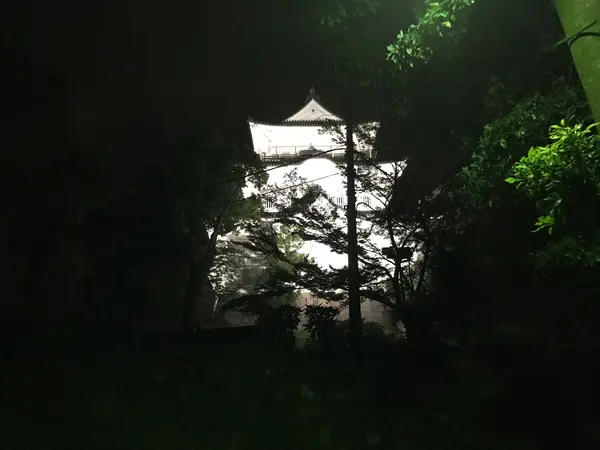 まぁ、夜バージョンって事でw