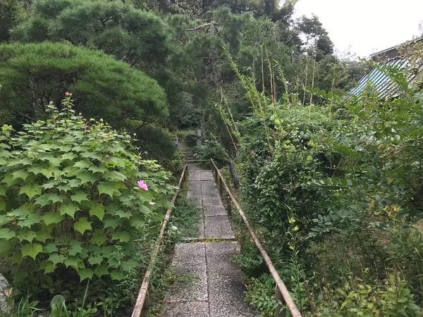 本堂脇の順路を進みます。