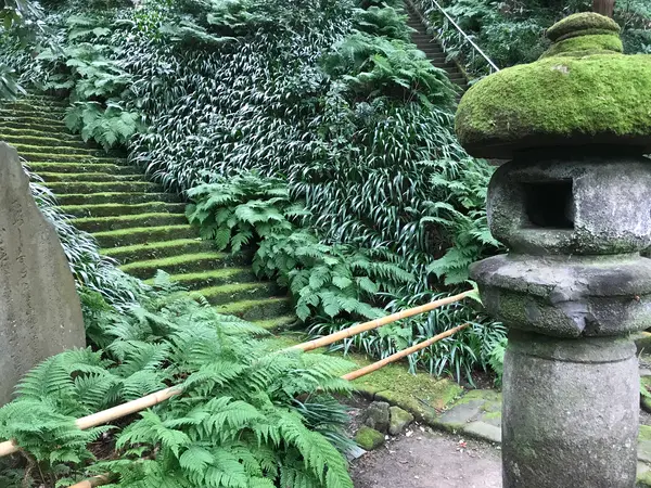 やぐら側からの階段