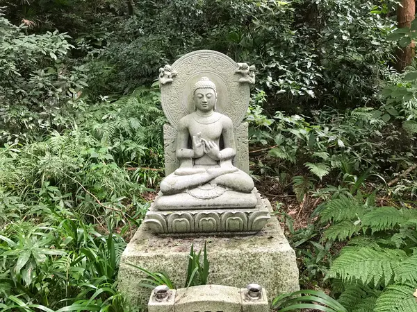 苔階段の上
