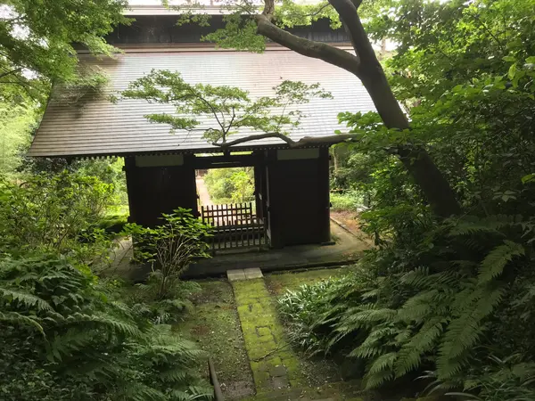 下山OK