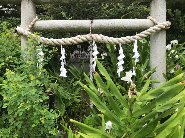 画像じゃ分かんねw