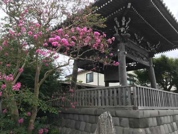 鐘楼をバックに