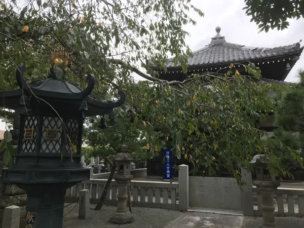 結構な数の堂宇です。