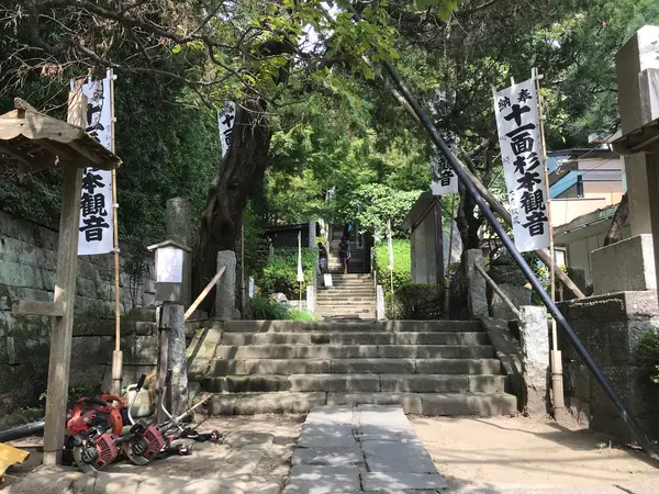 苔寺第二弾