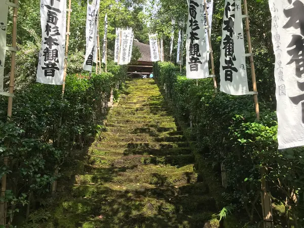 苔階段。