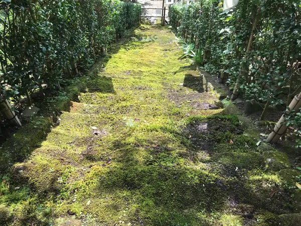 こちらも上から見下ろして